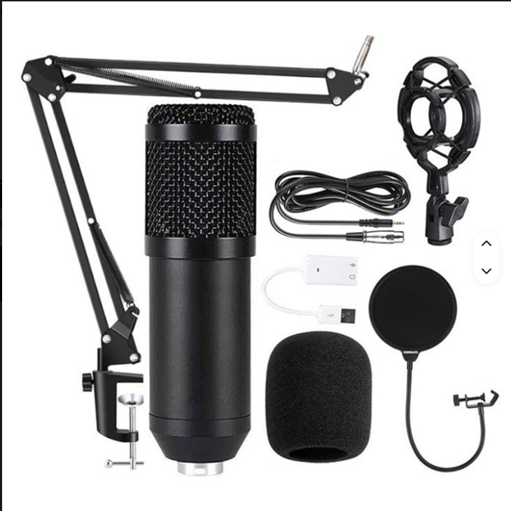 BM 800 MIC
