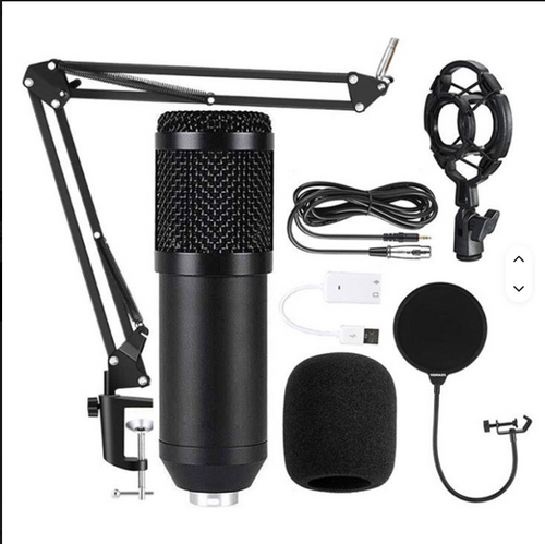 BM 800 MIC