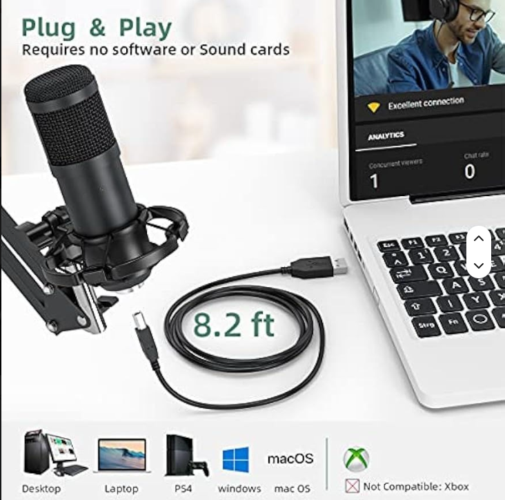 BM 800 MIC