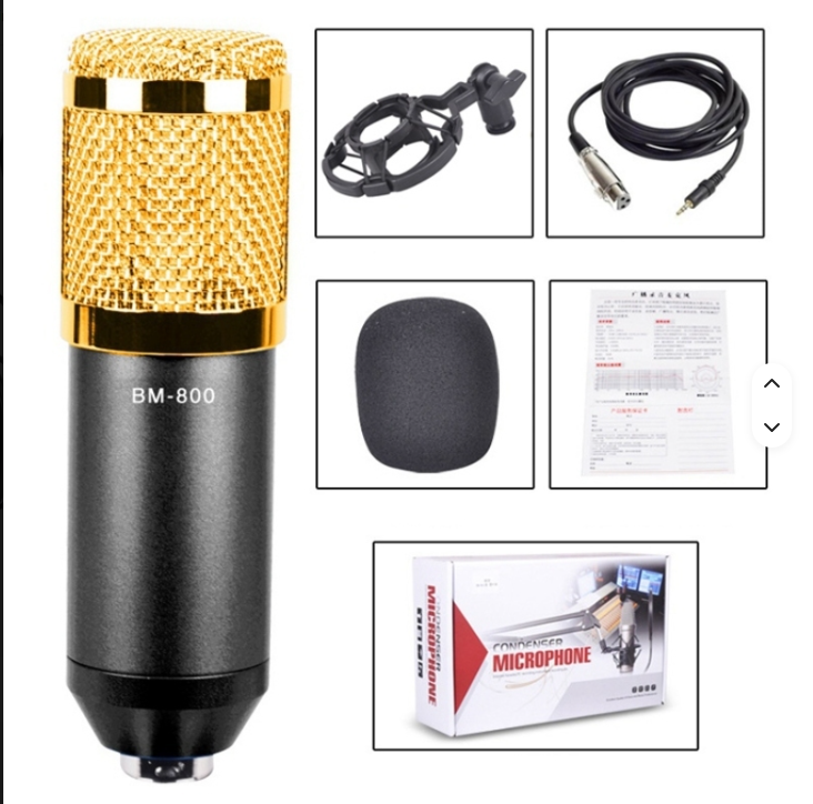 BM 800 MIC