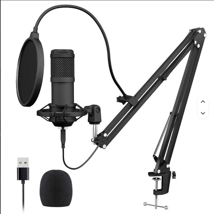 BM 800 MIC